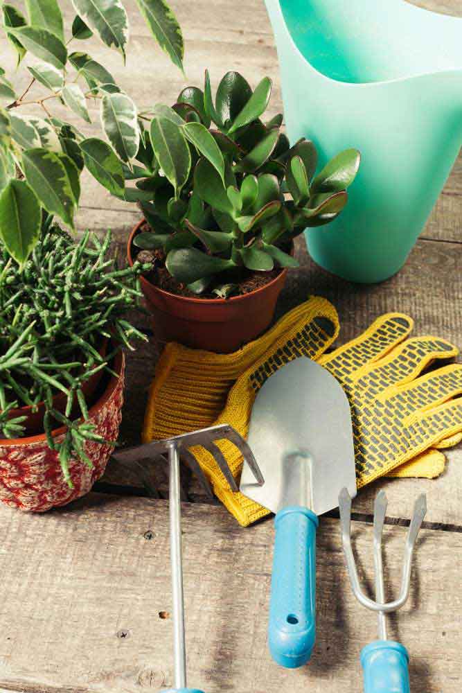 ادوات نگهداری از گیاهان