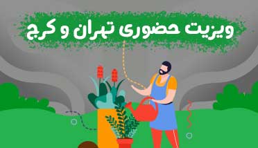 ویزیت حضوری از گیاهان در تهران و کرج